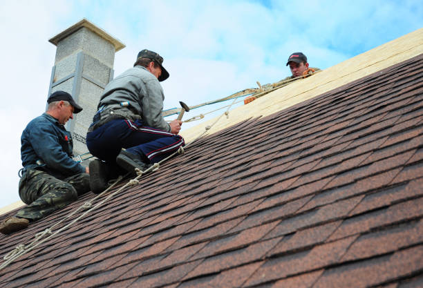 Best Local Roofing Companies  in Dupont, WA